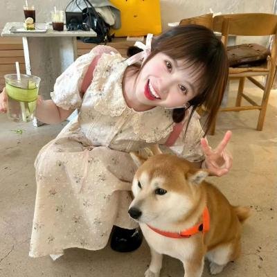 舞会的名册